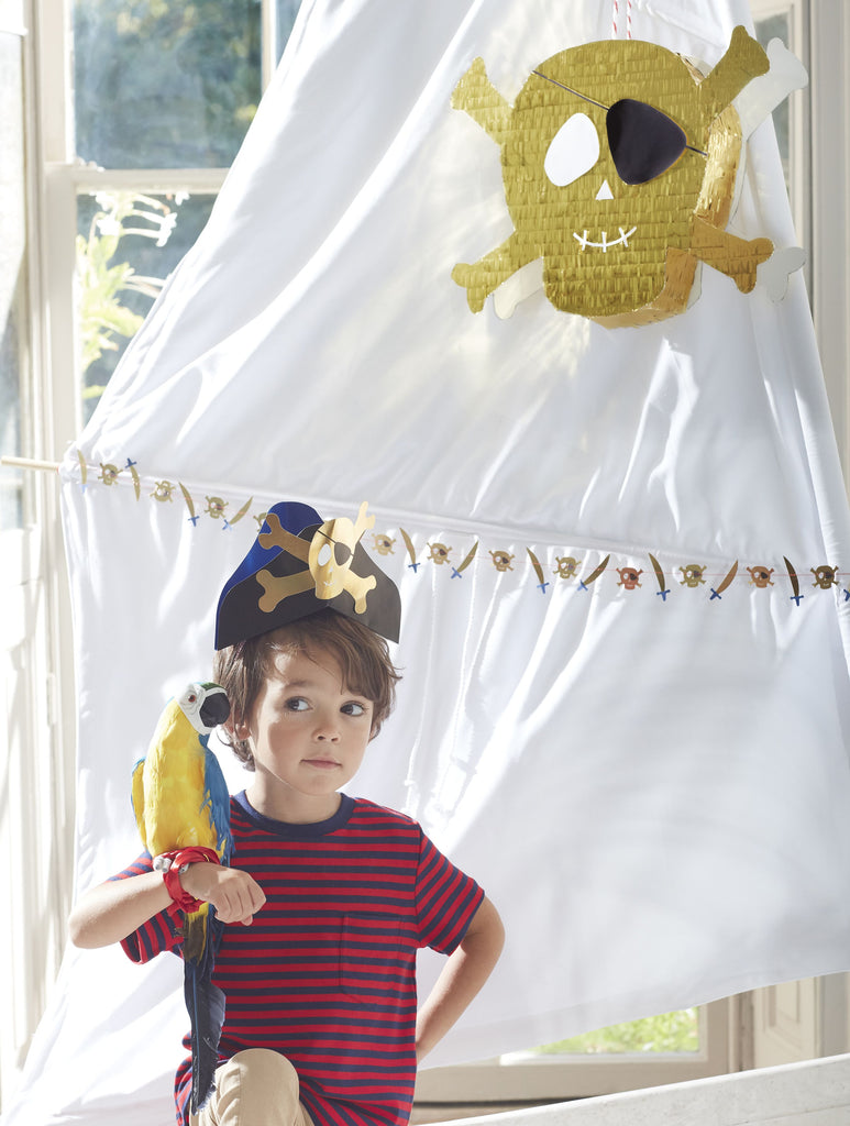 Pirate party pinata pirate themed birthday party box